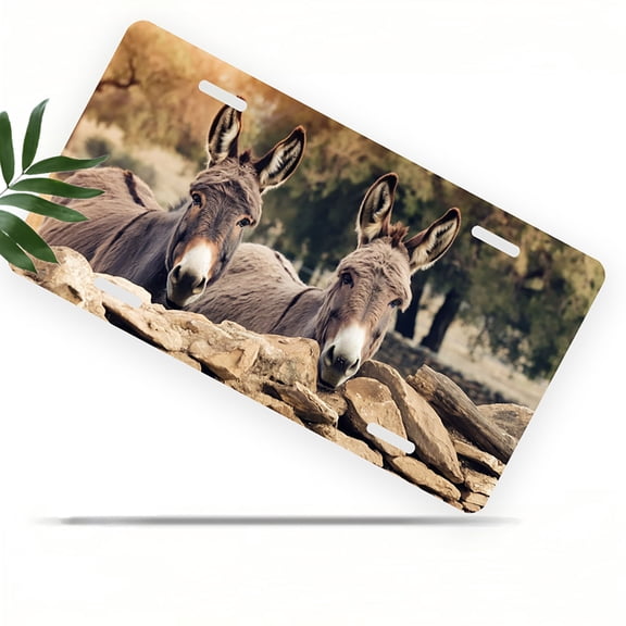 Two Donkeys Front License Plate, Metal License Plate, Funny Standard Plates Personalized Novelty Decorative For Men/Women/Boys/Girls Car 6×12 Inch