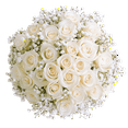 thumbnail image 1 of Two Dozen Ivory Roses with Baby's breath and Green- Fresh Flower Delivery, 1 of 4
