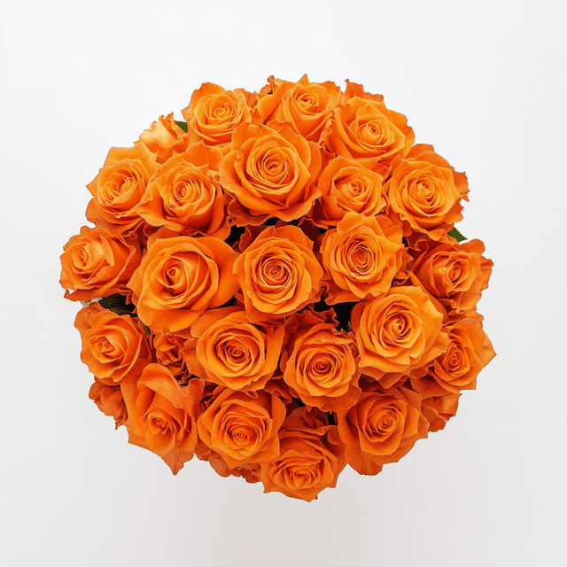 Two Dozen Orange Roses- Beautiful Fresh Flowers Bouquet- Express Delivery