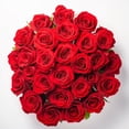 Two Dozen Red Roses- Beautiful Fresh Cut Flowers- Express Delivery ...