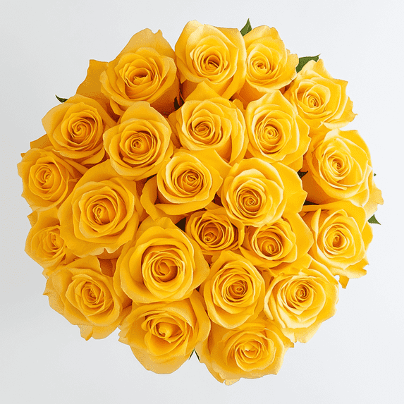 Two Dozen Yellow Roses- Beautiful Fresh Cut Flowers- Express Delivery