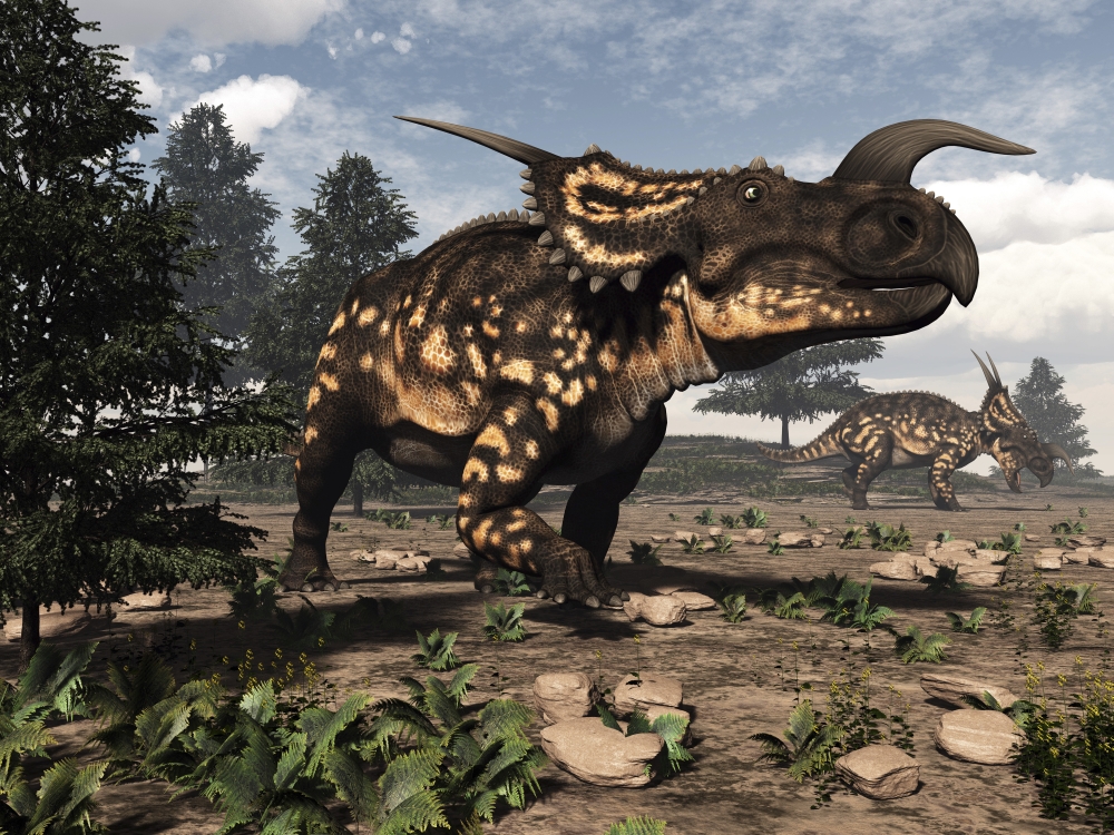 Two Einiosaurus dinosaurs walking in the desert Canvas Art - Elena DuvernayStocktrek Images (17 x 13)