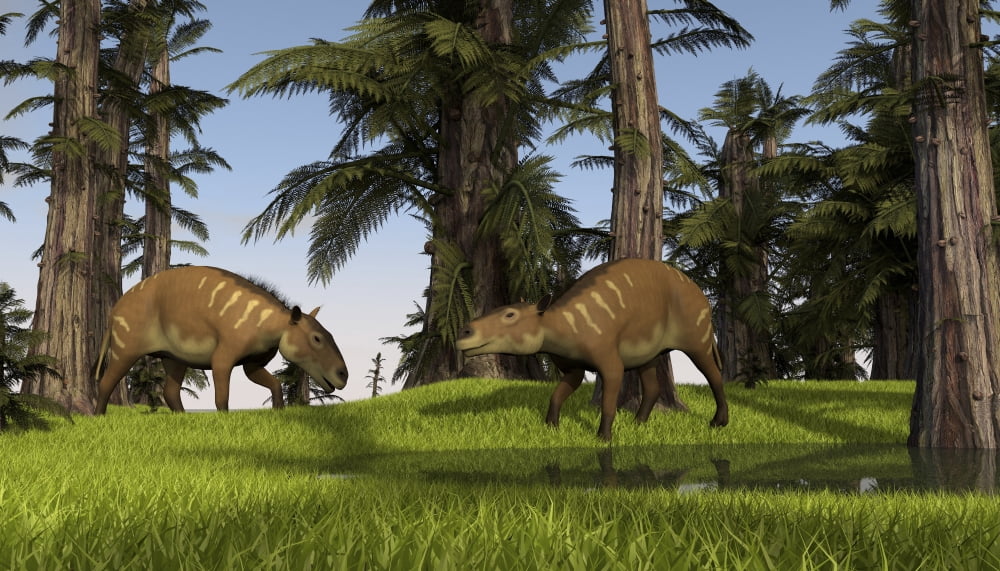 Two Eurohippus grazing along a nearby swamp Canvas Art - Kostyantyn IvanyshenStocktrek Images (38 x 22)