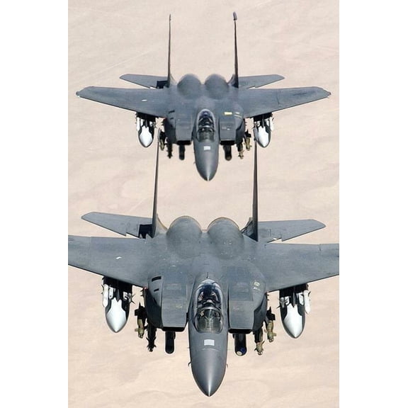Two F-15 / F-15E Strike Eagle Fighter Aircraft - 24x36 Inch Laminated Aviation Poster - Stunning Detail and Bold Colors