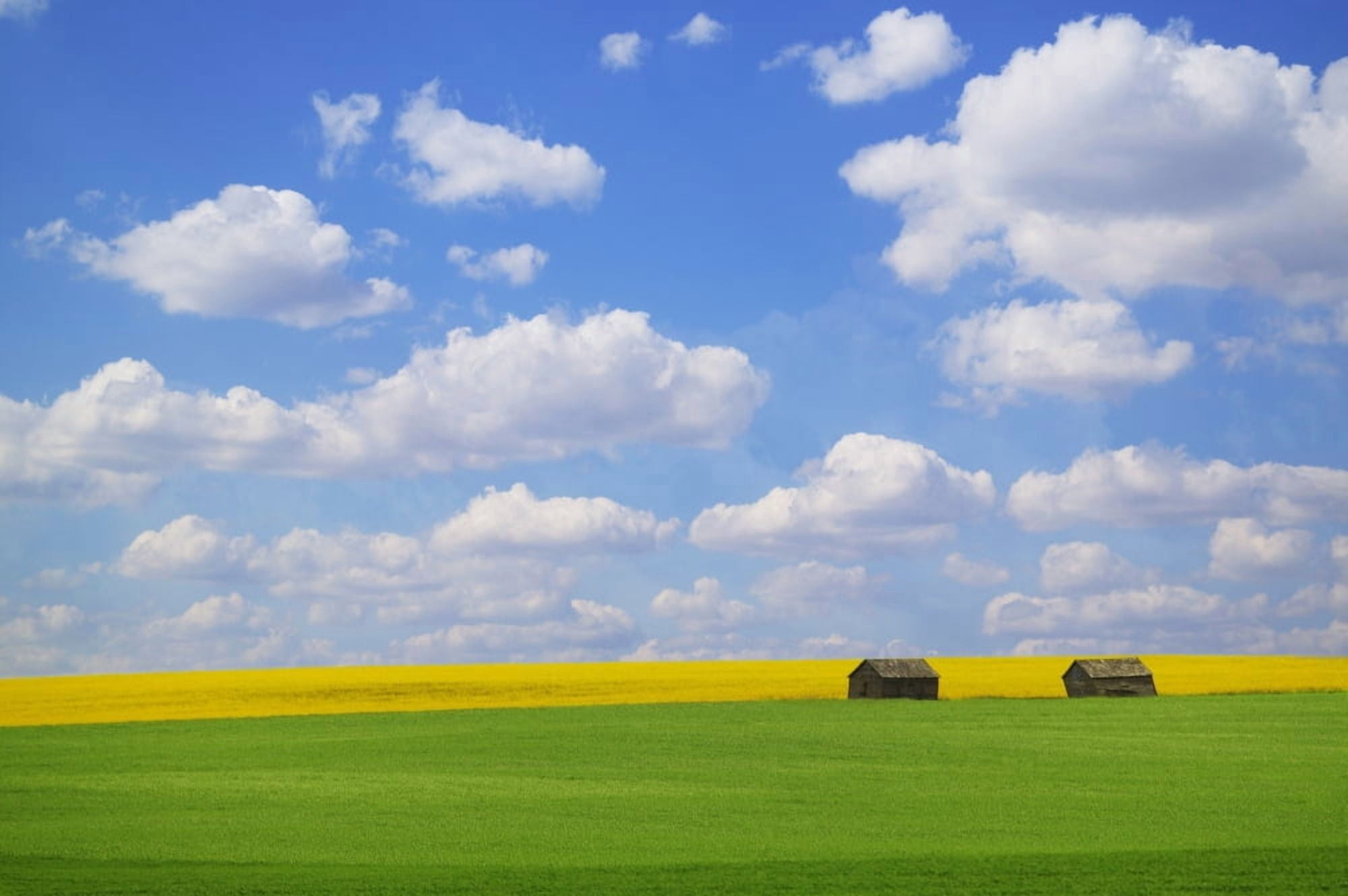 Two Farm Buildings In Vast Meadows Canvas Art - Don Hammond Design Pics (17 x 11)