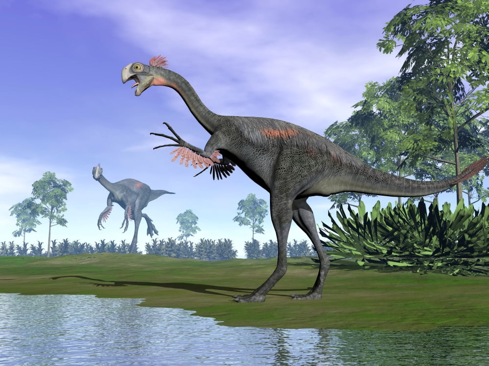 Two Gigantoraptor dinosaurs in a prehistoric environment Canvas Art - Elena DuvernayStocktrek Images (17 x 13)