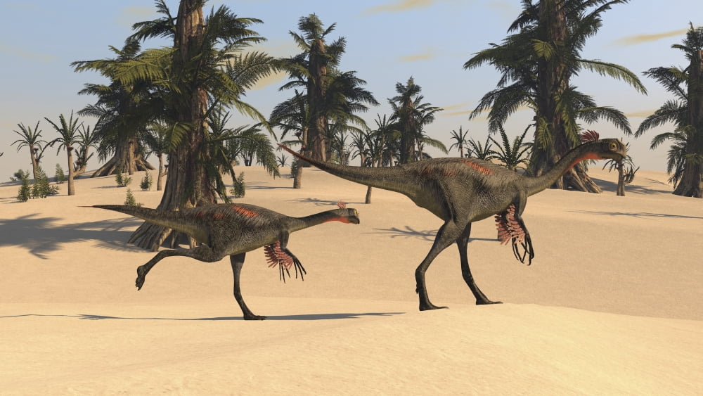 Two Gigantoraptors in desert landscape Canvas Art - Kostyantyn IvanyshenStocktrek Images (38 x 22)