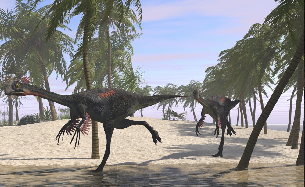 Two Gigantoraptors running Canvas Art - Kostyantyn IvanyshenStocktrek Images (18 x 11)