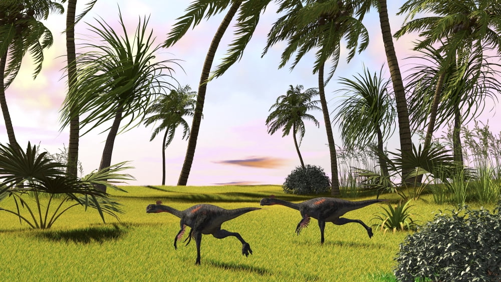 Two Gigantoraptors running across a grassy field Canvas Art - Kostyantyn IvanyshenStocktrek Images (19 x 11)