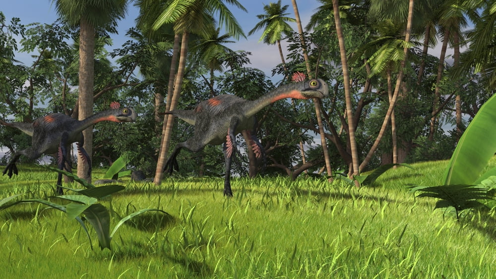 Two Gigantoraptors running across a grassy field Canvas Art - Kostyantyn IvanyshenStocktrek Images (38 x 22)