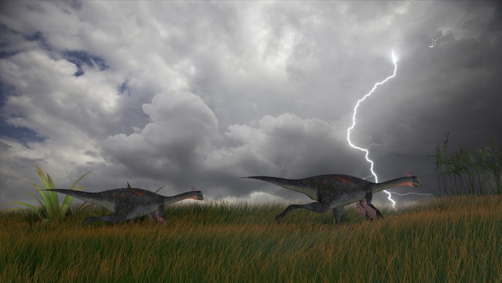 Two Gigantoraptors running across a grassy field during a lightning storm Canvas Art - Kostyantyn IvanyshenStocktrek Images (19 x 11)