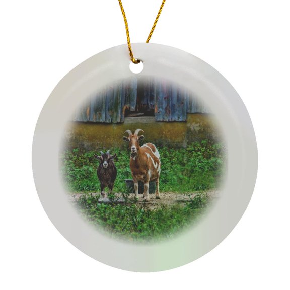 3drose, Two Goats Looking at the Camera, Circle Porcelain Ornament