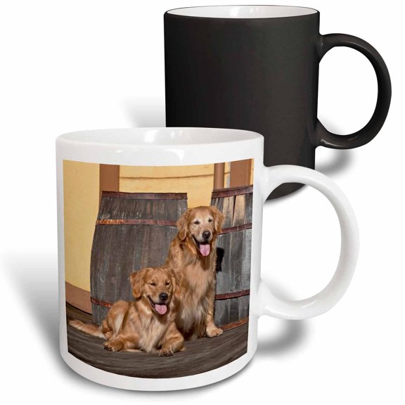 3drose, Two Golden Retriever Dogs - Na02 Zmu0156 - Zandria Muench Beraldo, 11oz Magic Transforming Mug