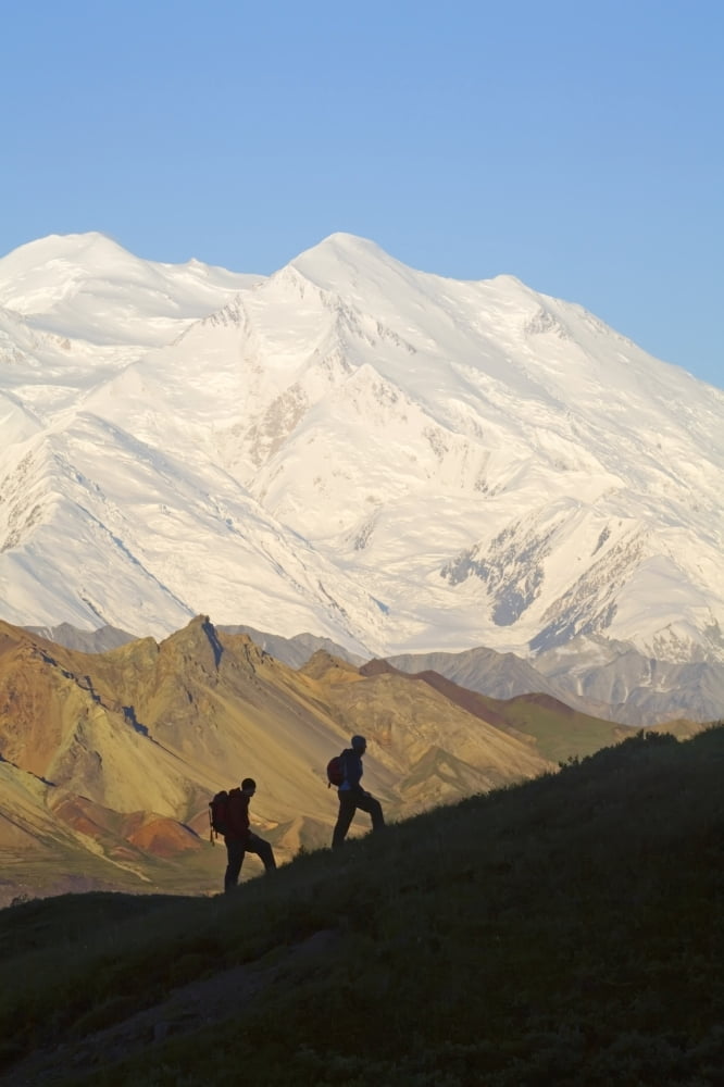 Two Hikers View Mckinley At Grassy Pass Near Eielson Visitor Center Summer Denali National Park Alaska Canvas Art - Jeff Schultz Design Pics (22 x 34)