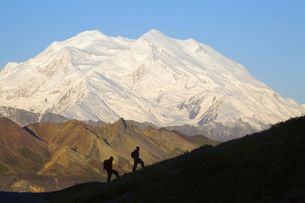 Two Hikers View Mckinley At Grassy Pass Near Eielson Visitor Center Summer Denali National Park Alaska Canvas Art - Jeff Schultz Design Pics (34 x 22)