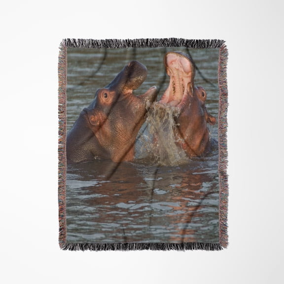 Two Hippos Fighting, Their Jaws Open, Close-Up View, Woven Blanket