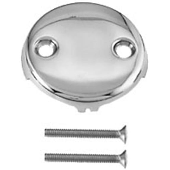 Two Hole Faceplate with Screws - PVD Polished Brass