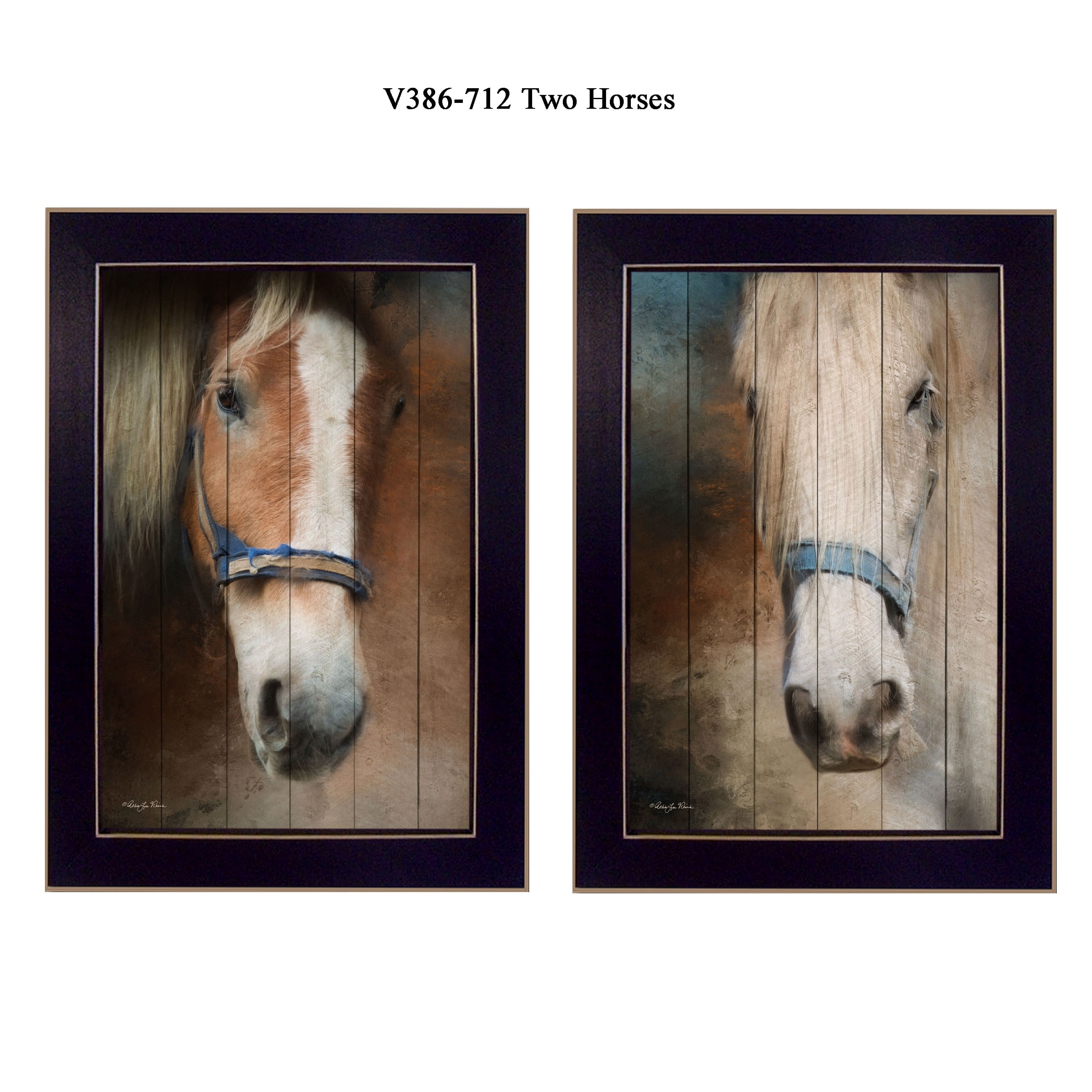 Two Horses Framed Canvas Wall Art Set