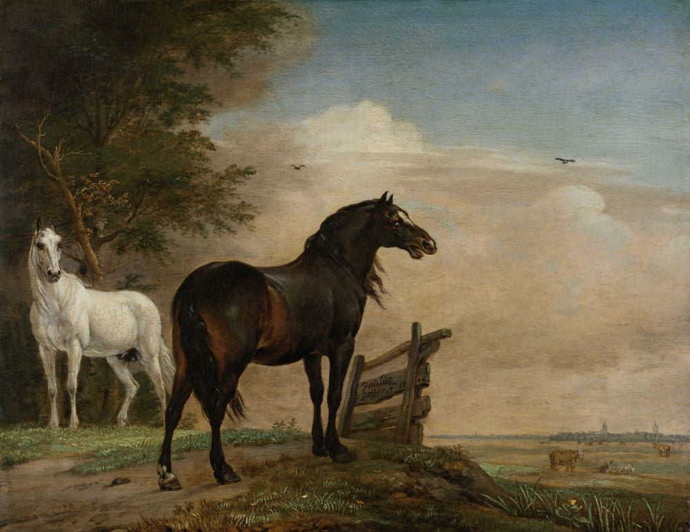 Two Horses In A Meadow Near A Gate Canvas Art - (24 x 18)