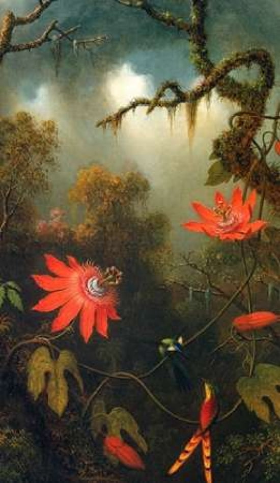 Two Hummingbirds Perched On Passion Flower Vines Canvas Art - Martin Johnson Heade (12 x 18)