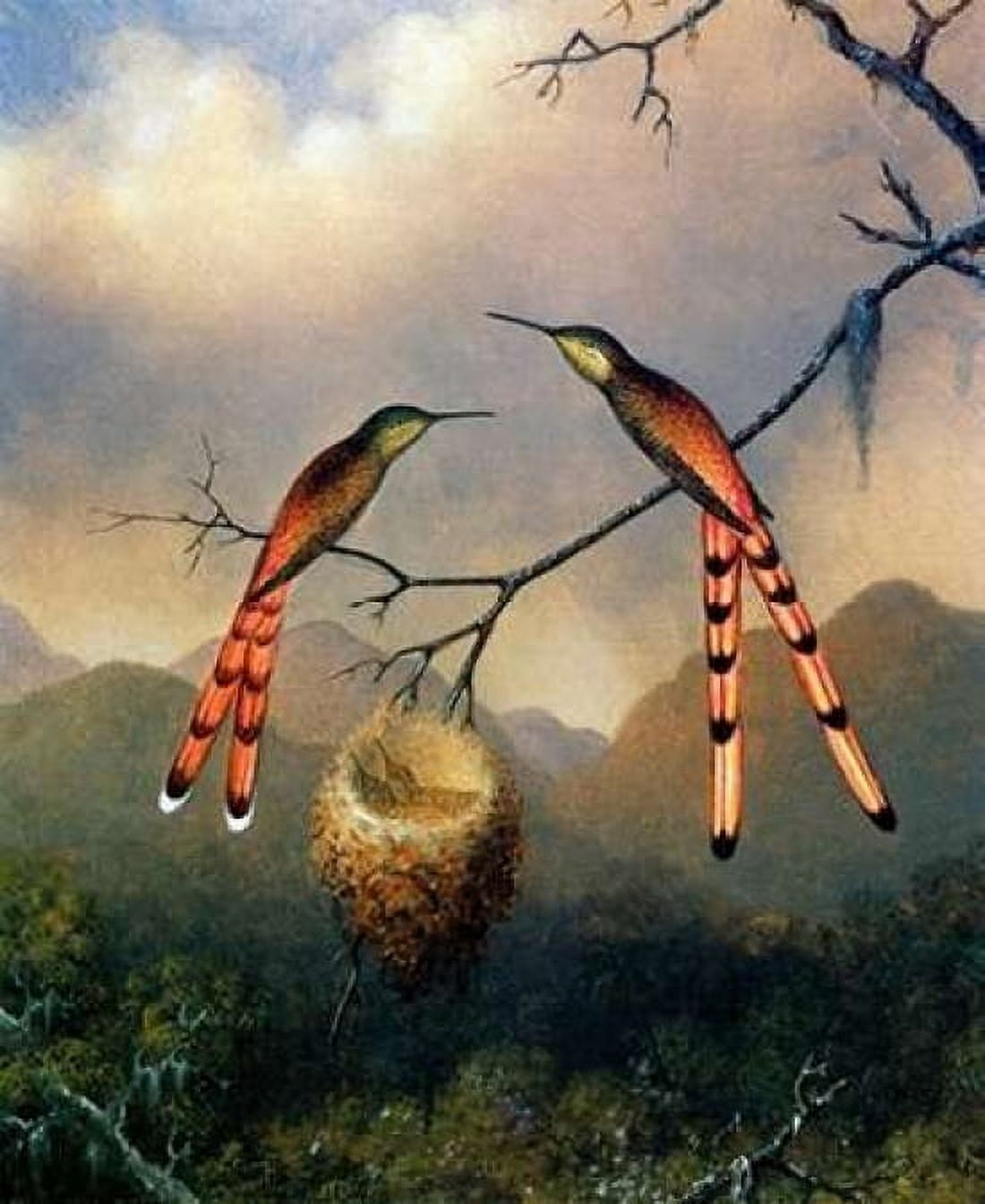 Two Hummingbirds With Their Young Canvas Art - Martin Johnson Heade (20 x 24)