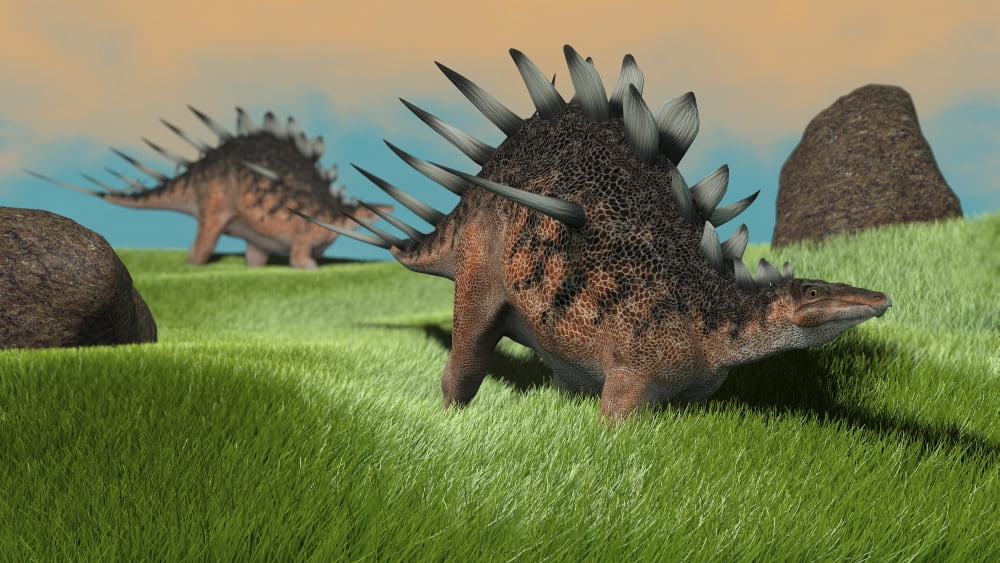 Two Kentrosaurus dinosaurs walking across a grassy field Canvas Art - Kostyantyn IvanyshenStocktrek Images (38 x 22)