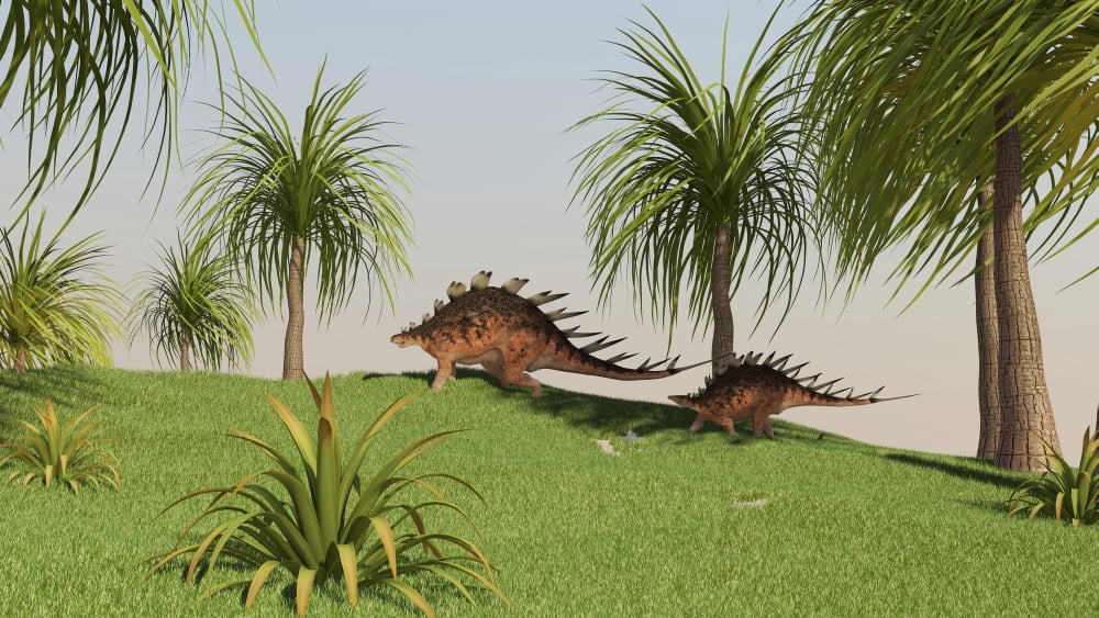 Two Kentrosaurus dinosaurs walking across an open field Canvas Art - Kostyantyn IvanyshenStocktrek Images (19 x 11)