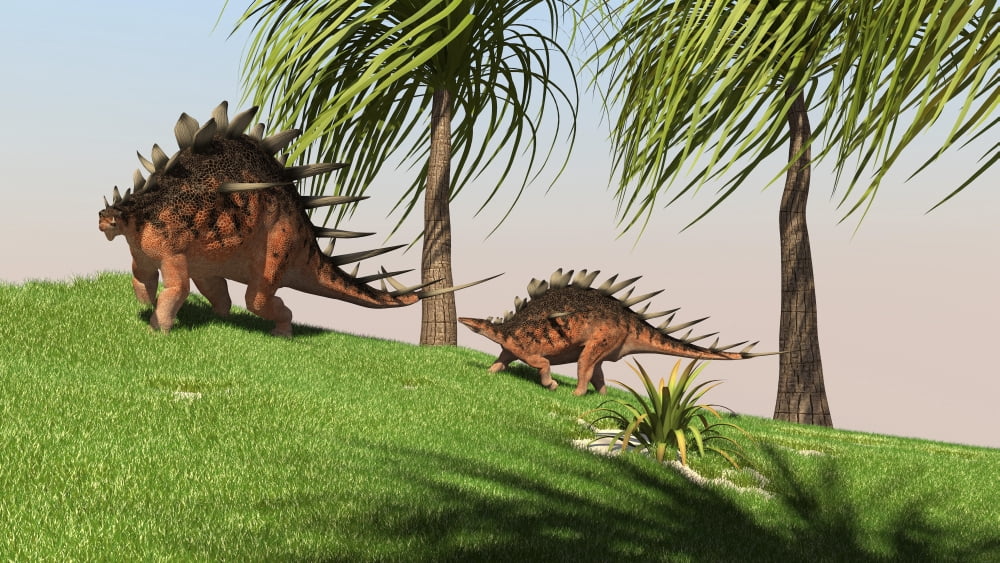 Two Kentrosaurus dinosaurs walking across an open field Canvas Art - Kostyantyn IvanyshenStocktrek Images (38 x 22)