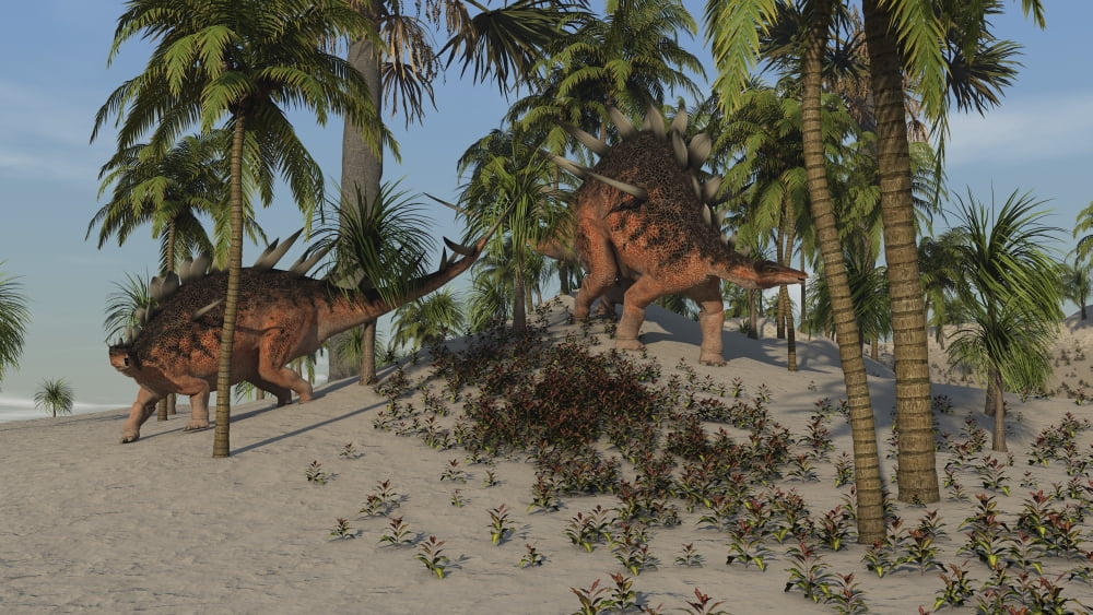 Two Kentrosaurus dinosaurs walking in a tropical environment Canvas Art - Kostyantyn IvanyshenStocktrek Images (19 x 11)