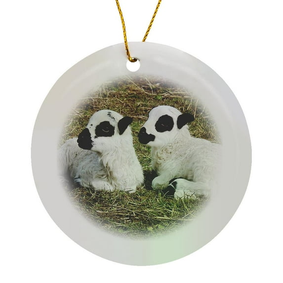3drose, Two Lambs in Hay, Circle Porcelain Ornament