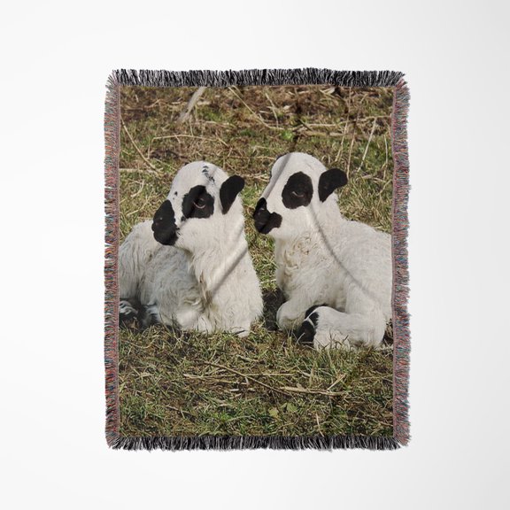 Two Lambs In Hay, Woven Blanket