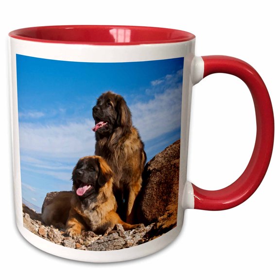 3drose, Two Leonbergers in the Colorado Desert, Pr, 11oz Two-tone Red Mug