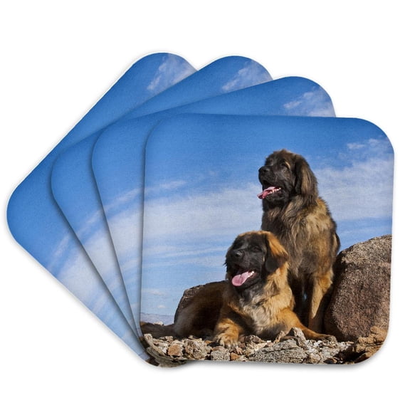 3drose, Two Leonbergers in the Colorado Desert, Pr, Set of 4 Coasters - Soft