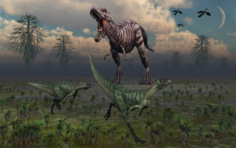 Two Lesothosaurus dinosaurs run out of the way of a T-Rex on a rampage Canvas Art - Mark StevensonStocktrek Images (18 x 12)