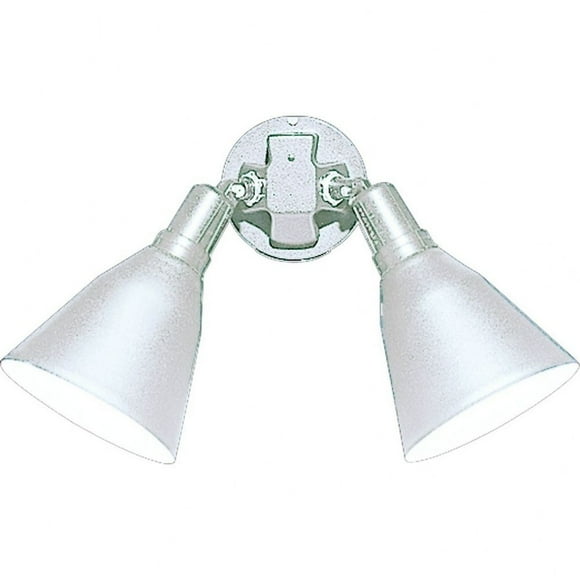 Two-Light Adjustable Swivel Flood Light