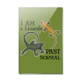 thumbnail image 1 of Two Lizards Past Normal Rectangle Acrylic Fridge Refrigerator Magnet, 1 of 4