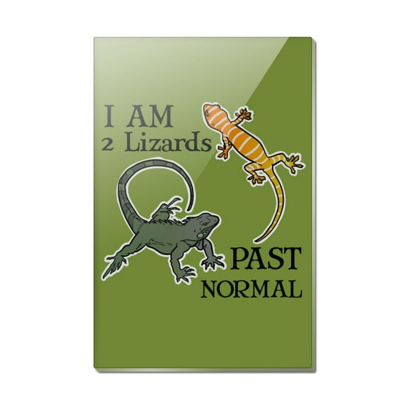 Two Lizards Past Normal Rectangle Acrylic Fridge Refrigerator Magnet