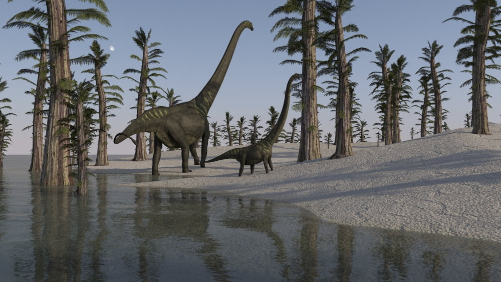 Two Mamenchisaurus roaming along the shoreline Canvas Art - Kostyantyn IvanyshenStocktrek Images (19 x 11)