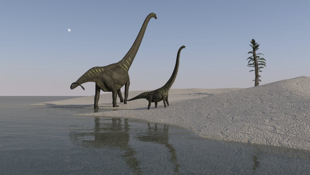 Two Mamenchisaurus roaming along the shoreline Canvas Art - Kostyantyn IvanyshenStocktrek Images (19 x 11)
