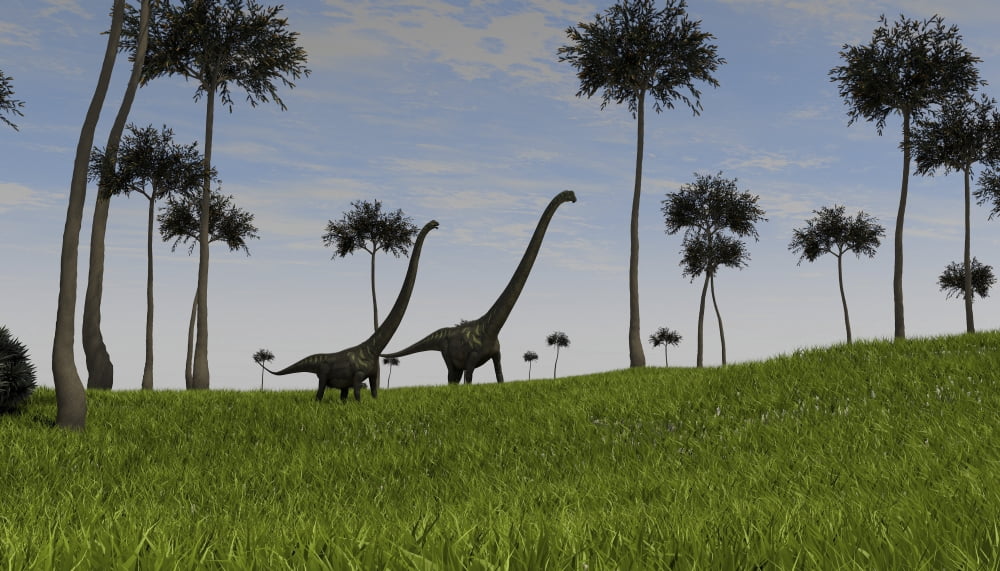 Two Mamenchisaurus walking across a grassy field Canvas Art - Kostyantyn IvanyshenStocktrek Images (19 x 11)