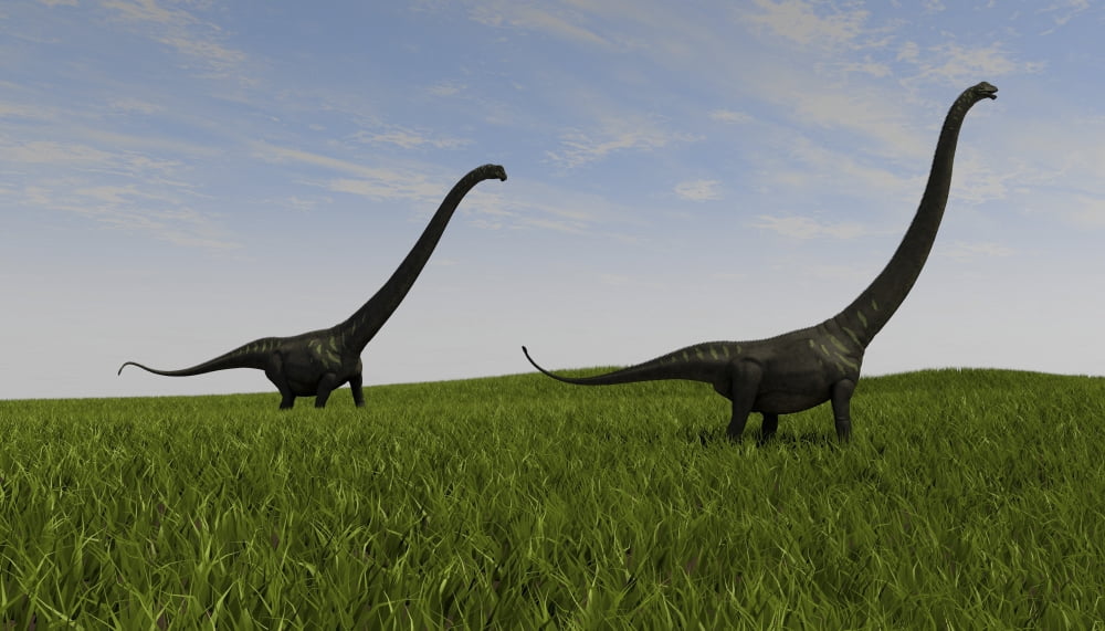 Two Mamenchisaurus walking across a grassy field Canvas Art - Kostyantyn IvanyshenStocktrek Images (19 x 11)