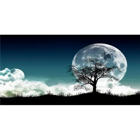 Two Moons Photo License Plate