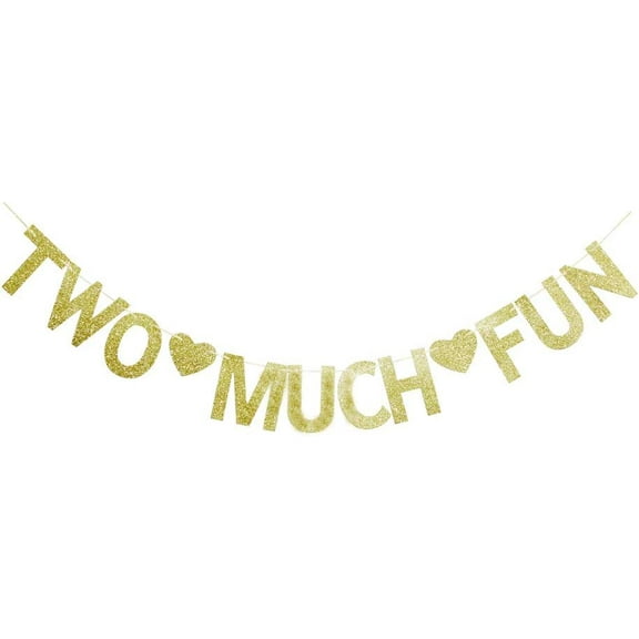 Two Much Fun Banner, Vintage Gold Glitter Paper Sign Garland for Kids' / Boys' / Girls' / Twins' 2nd Birthday Party Decor Supplies