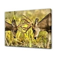 thumbnail image 1 of Two Mule Deer Bucks Fighting Canvas Poster Bedroom Decor Sports Landscape Office Room Decor Gift,Frame-style,16x24inch(40x60cm), 1 of 8