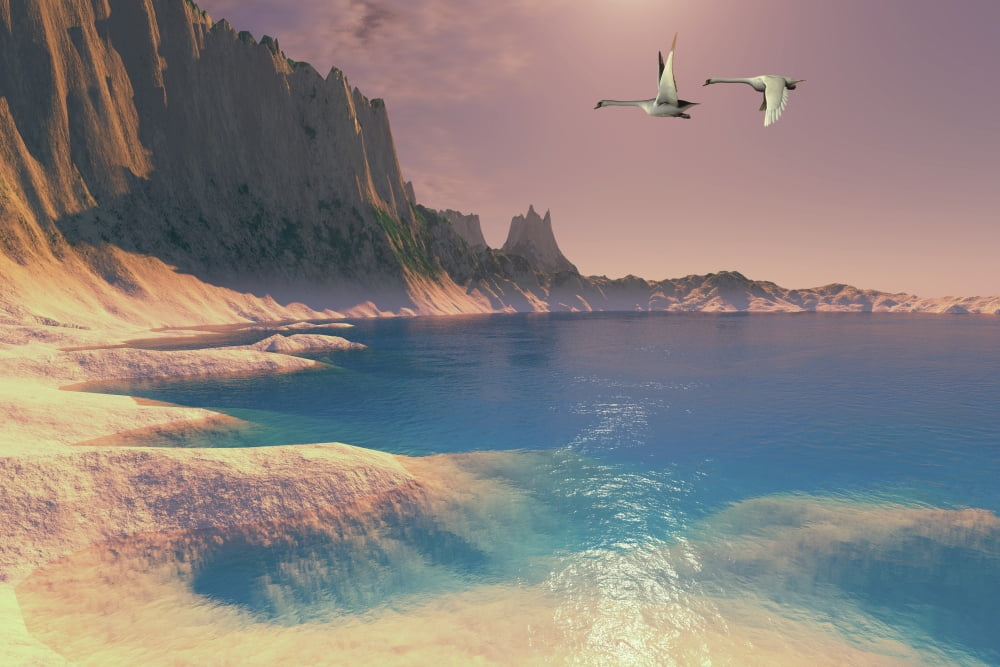 Two Mute Swans fly near a seashore on their migration route Canvas Art - Corey FordStocktrek Images (35 x 23)