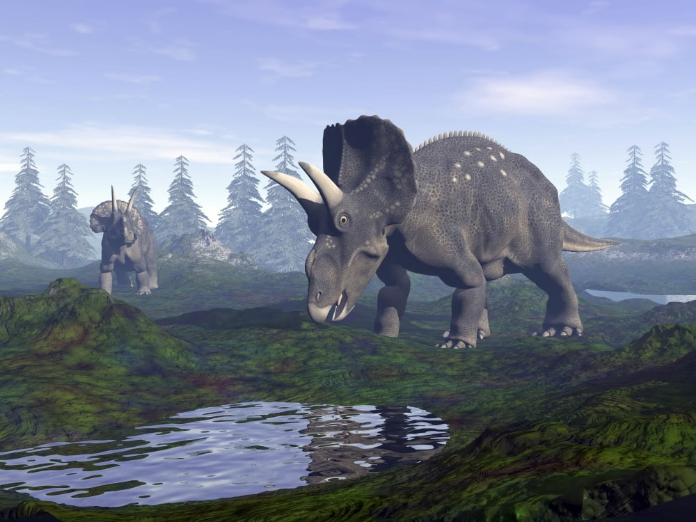 Two Nedoceratops dinosaurs walking to water puddle in the morning light Canvas Art - Elena DuvernayStocktrek Images (33 x 25)