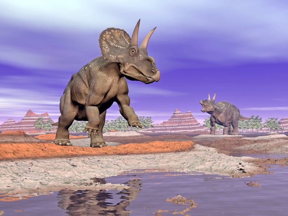 Two Nedoceratops next to water in a colorful rocky landscape Canvas Art - Elena DuvernayStocktrek Images (17 x 13)