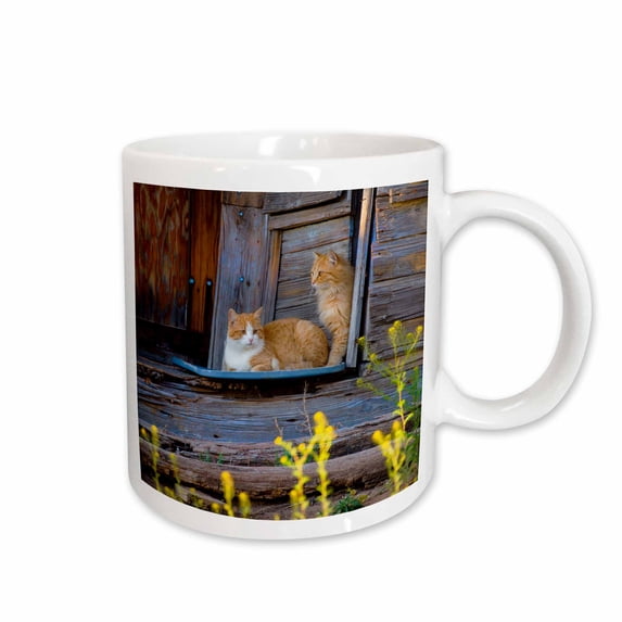 3drose, Two Orange Marmalade Cats Sitting on Porch of an Old House, 11oz Mug
