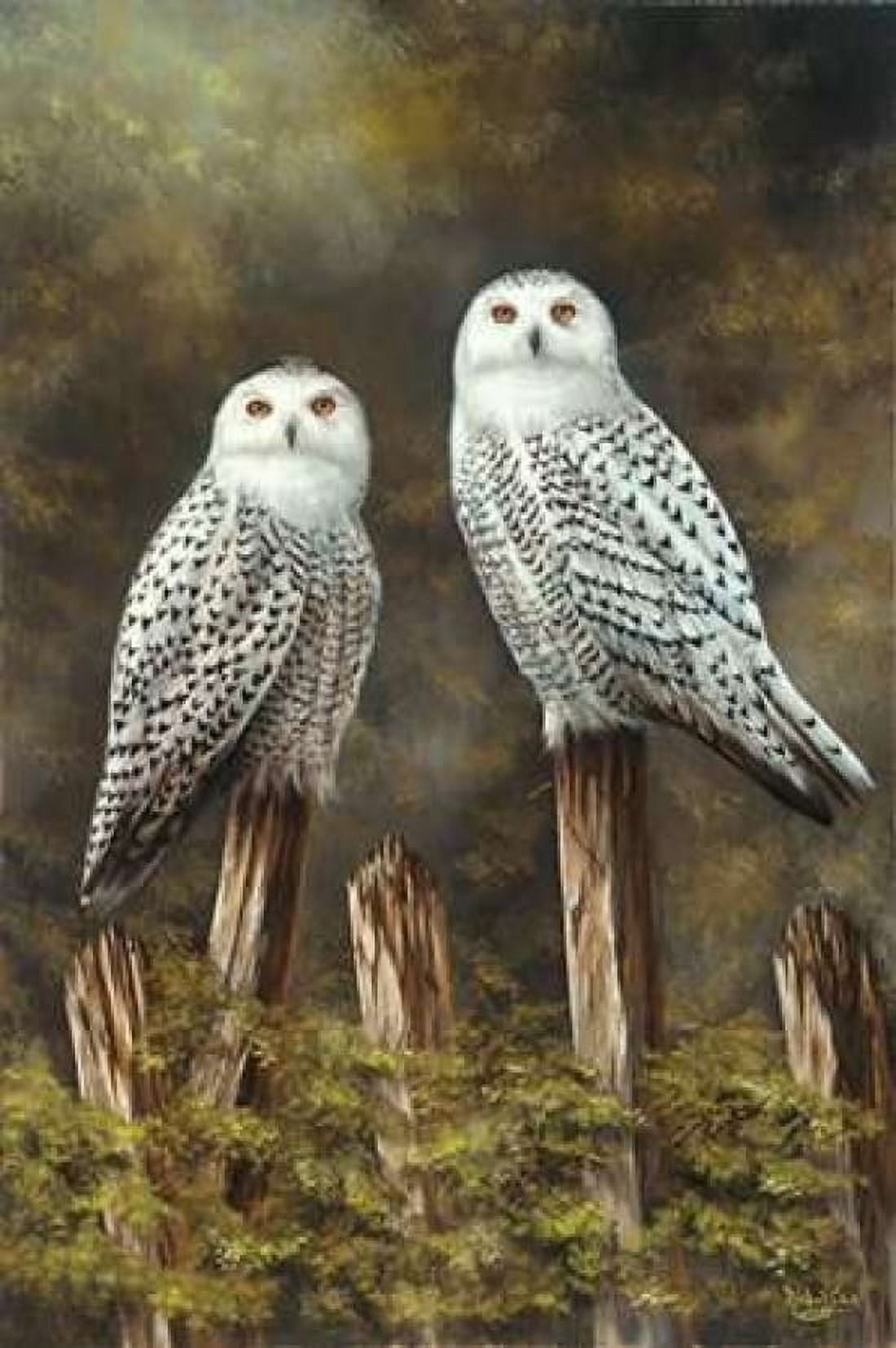Two Owls Canvas Art - Michel Schutte (24 x 36)