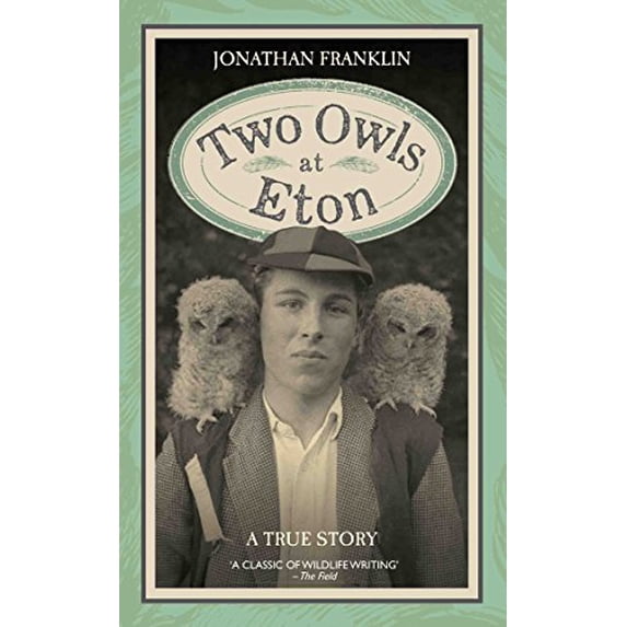 Pre-Owned Two Owls at Eton: A True Story (Hardcover) 1786060302 9781786060303